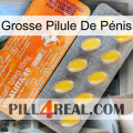 Grosse Pilule De Pénis new05